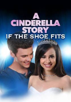 Cinderella story – Se la scarpetta calza